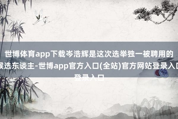 世博体育app下载岑浩辉是这次选举独一被聘用的候选东谈主-世博app官方入口(全站)官方网站登录入口