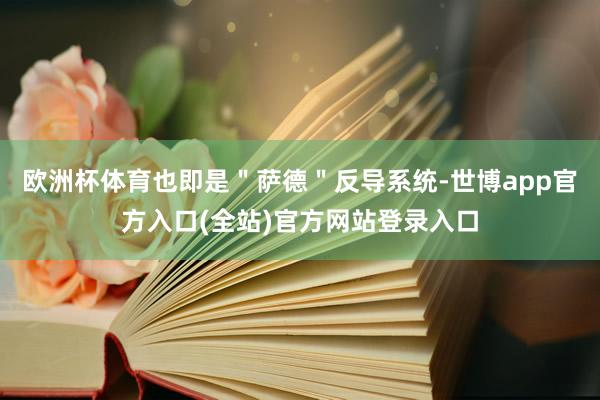 欧洲杯体育也即是＂萨德＂反导系统-世博app官方入口(全站)官方网站登录入口